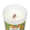 Mango Coconut wood wick candle top view