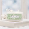 Woodland Reverie 2 wick apothecary candle in a winter scene