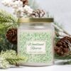 Woodland Reverie soy candle in apothecary 9oz jar with pinecones