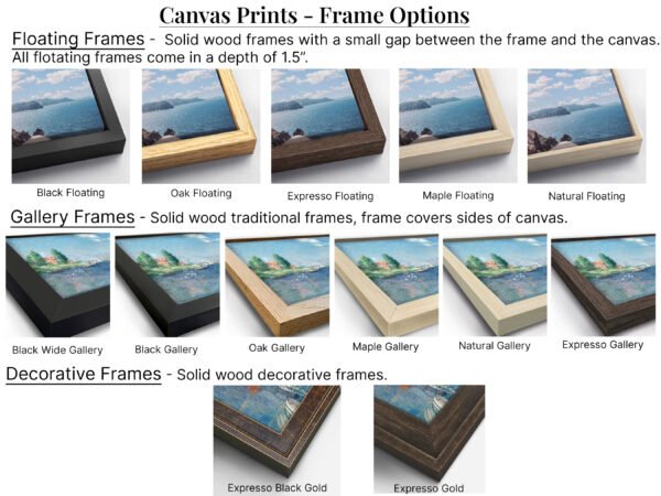 Canvas Prints Frame Options