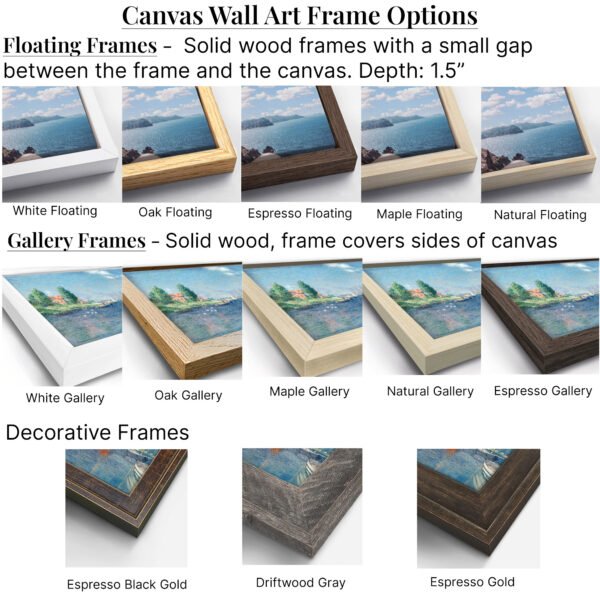 Canvas Frame Options