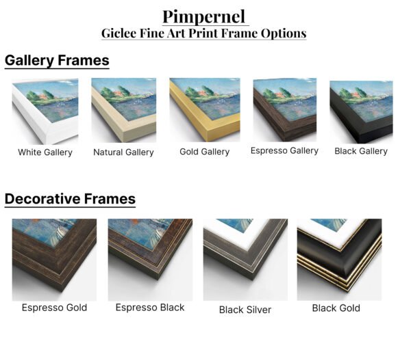 Pimpernel Art Print Frame Options Pimpernel Art Print Frame Options